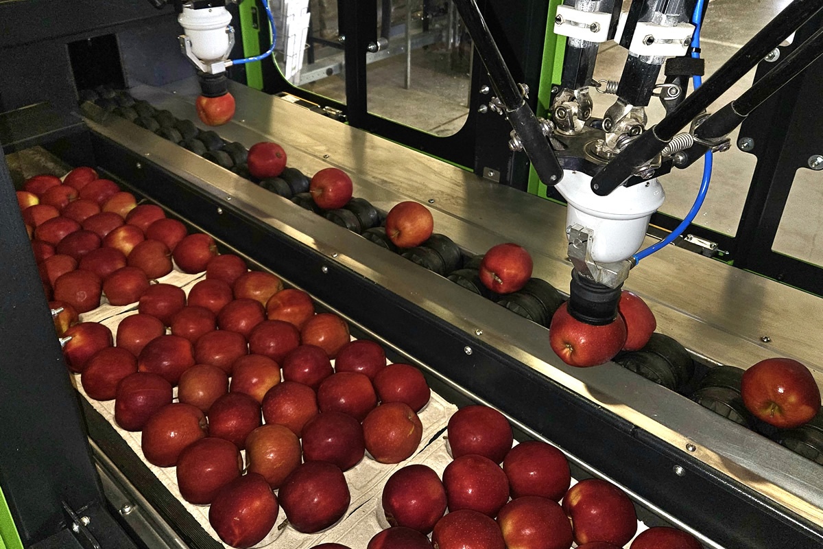 "Met de Smartpackr sparen we mensen uit en verbeteren we de presentatie van onze appels"