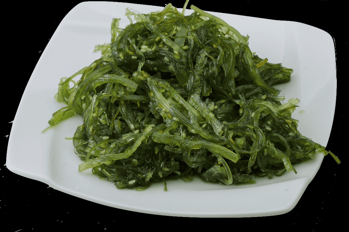 Infomiddag 'Zeewier op je bord'