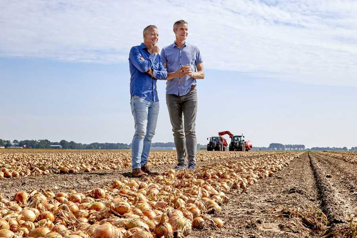 Beweging in prijs blijft achter, ondanks grote uienexport