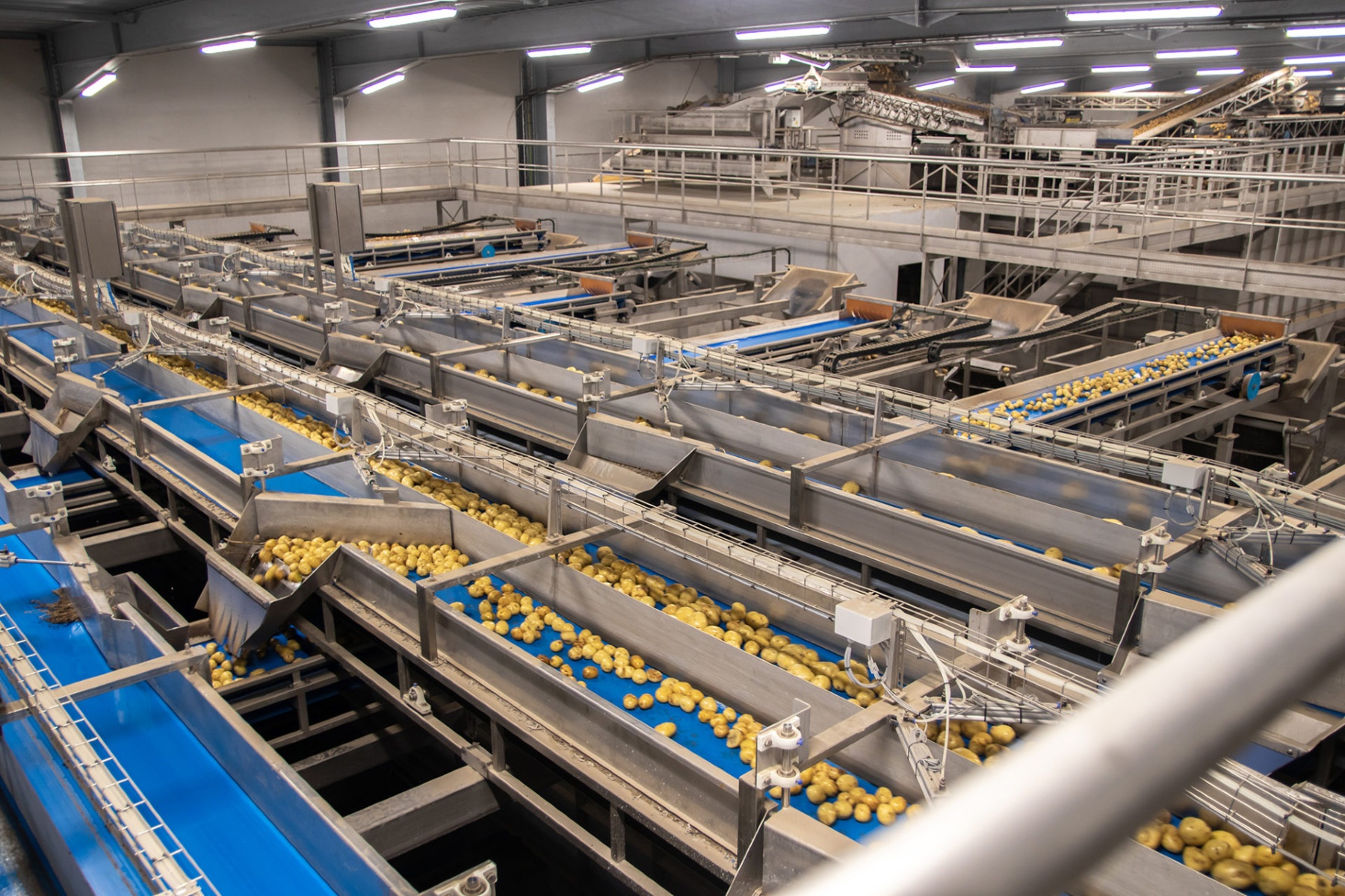 "De toekomst van de aardappel ligt in convenience"