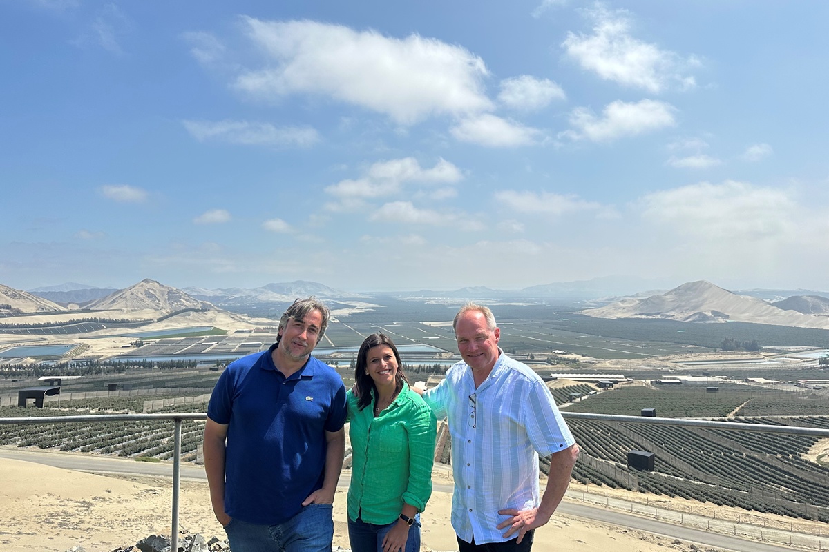 "Recordvolumes Peruaanse blauwe bessen verrassend goed geabsorbeerd op Europese markt"