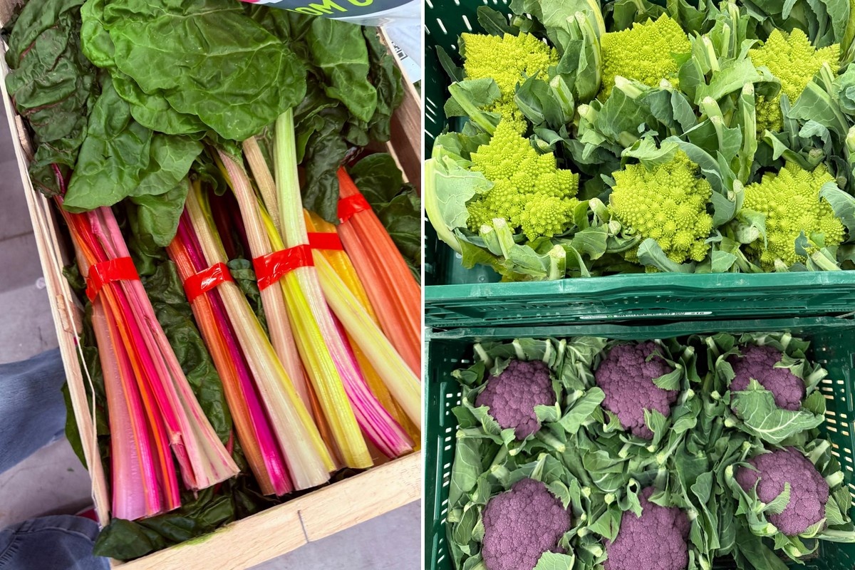 "Zebrabieten, gekleurde radijs en paarse bloemkool: klanten willen kleur in de winter"