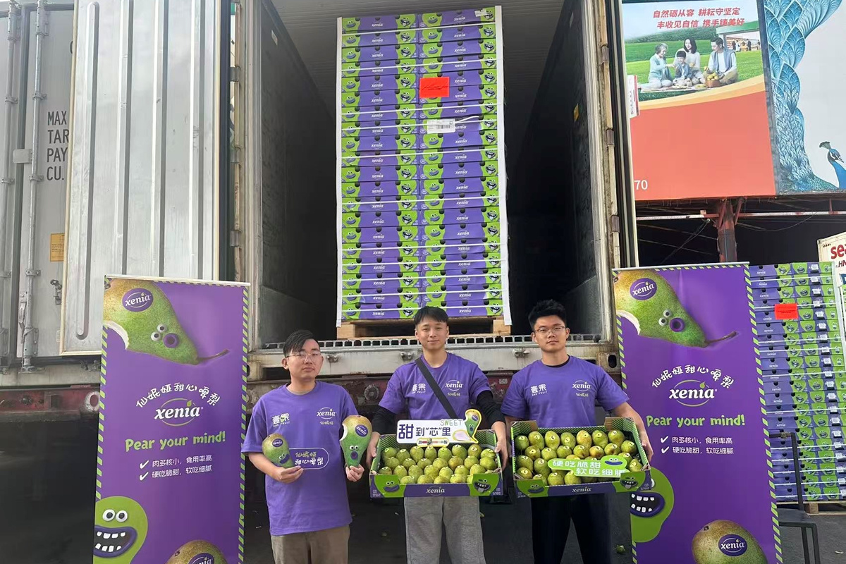 Eerste Xenia-peren afgelopen weekend gearriveerd in Shenzhen