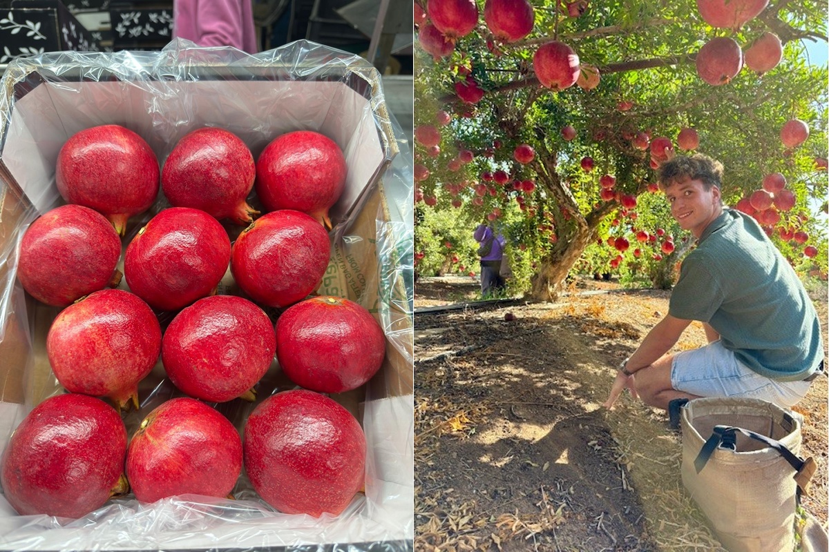 "We hebben dit jaar grotere volumes uit Israël verkocht dan andere jaren, kwaliteit wint altijd"