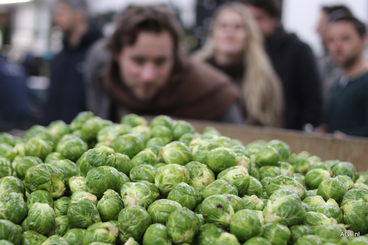 “Nederland wil klein en luchtdicht verpakt, Duitsland gaat voor groot en plasticvrij”