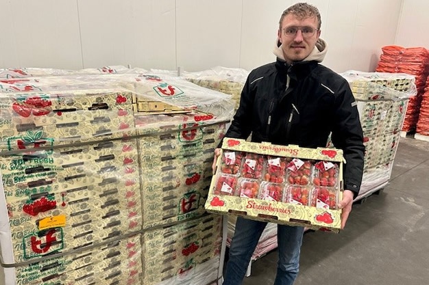 Egyptische aardbeien met chocolade favoriete snack op Duitse 'Weihnachtsmärkte'