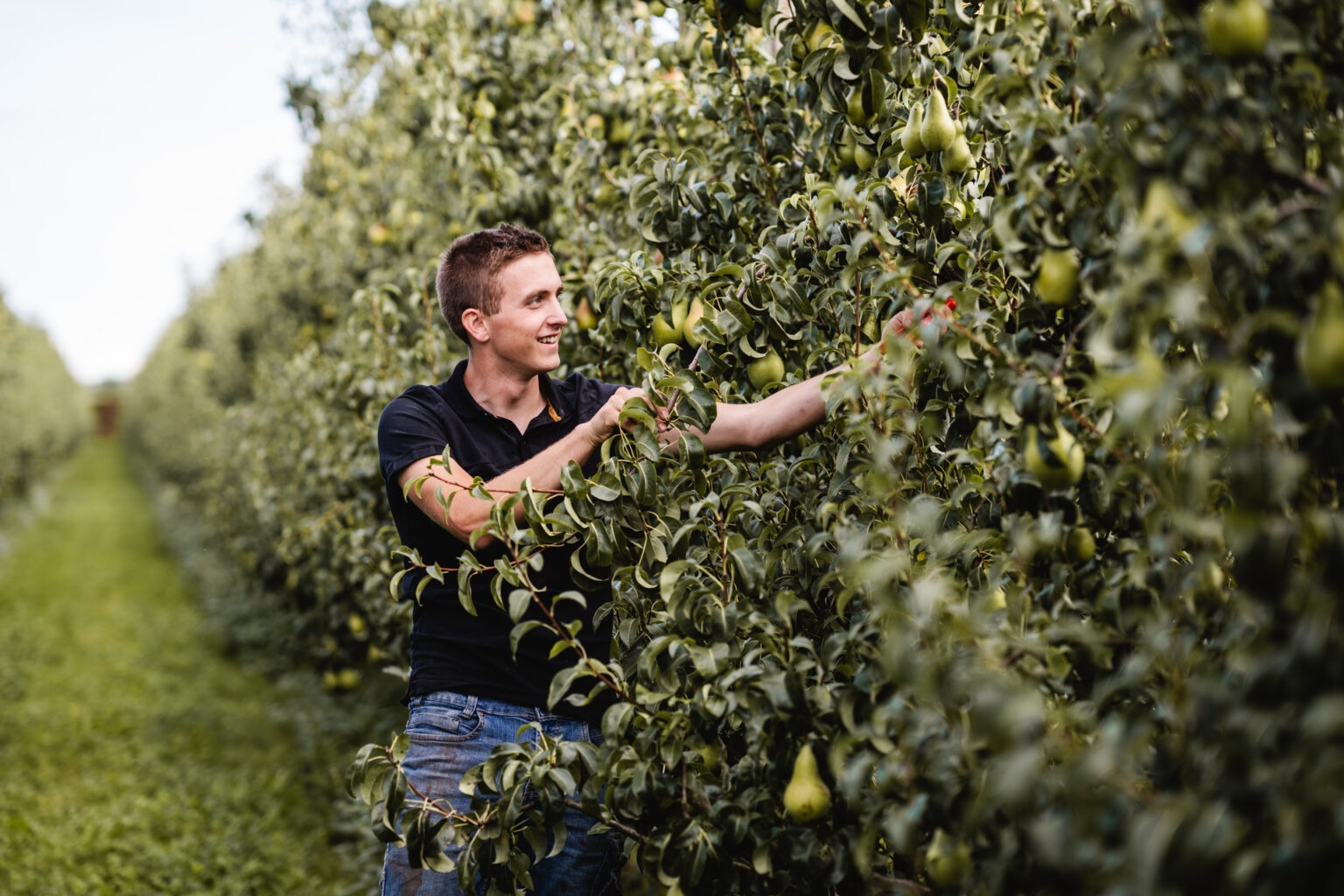 Loontabel cao Open Teelten per 1 januari 2026 beschikbaar