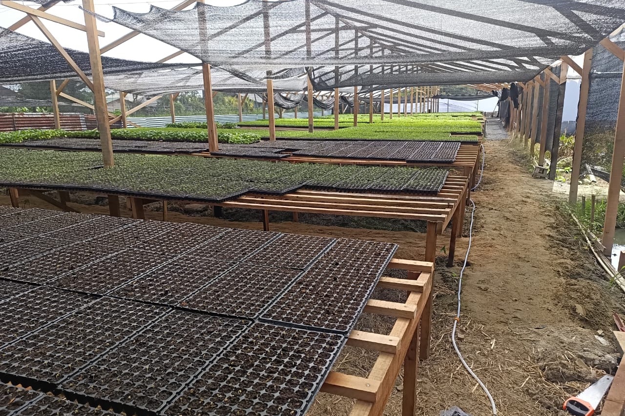 Nieuwe opkweker groenteplanten officieel geopend in Suriname