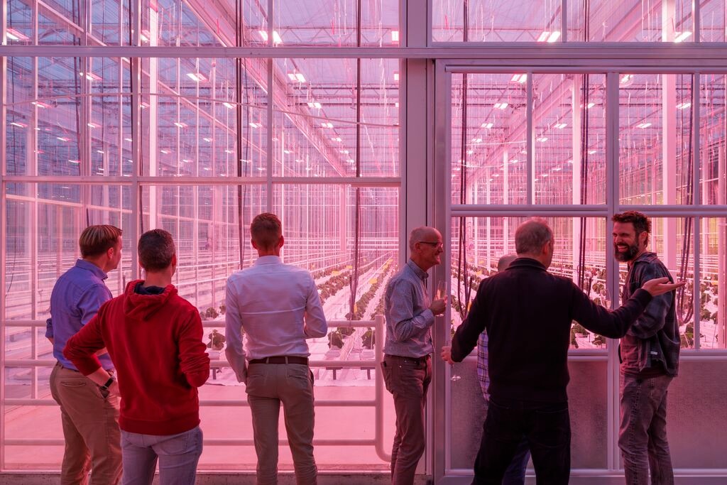 Rijk Zwaan opent nieuwe kas voor ontwikkeling van nieuwe tomaten-, paprika- en auberginerassen