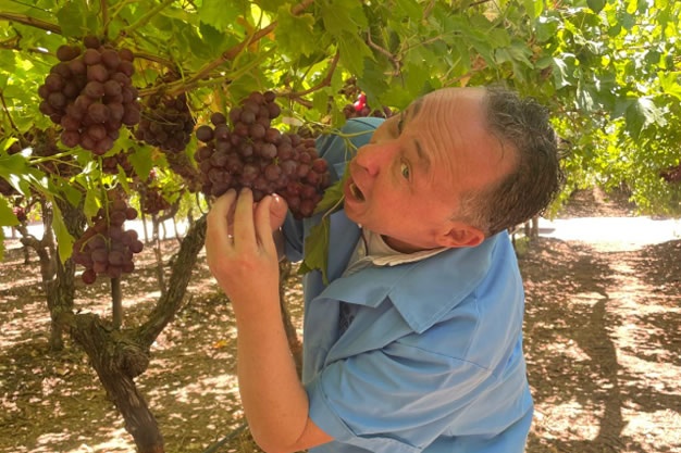 Ronald van den Berg (FruitMasters) tussen de Zuid-Afrikaanse druiven