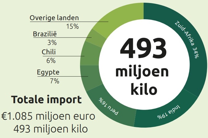 Nederland blijft sleutelrol spelen in wereldwijde druivenhandel
