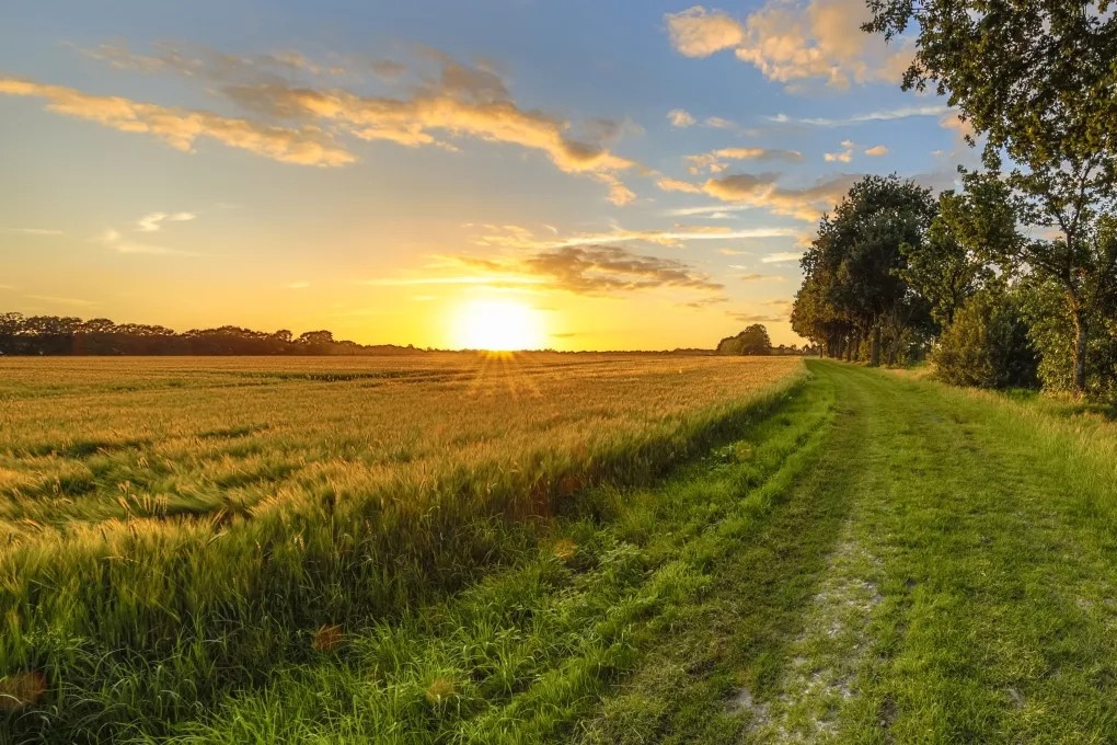 Nieuwe WUR-aanpak moet helpen bij langetermijnkeuzes in landbouw, voedsel en natuur