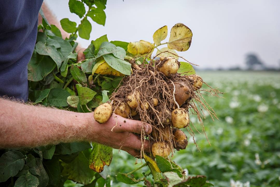 Van Iperen nieuwe distributeur van Restrain Accumulator in Nederland