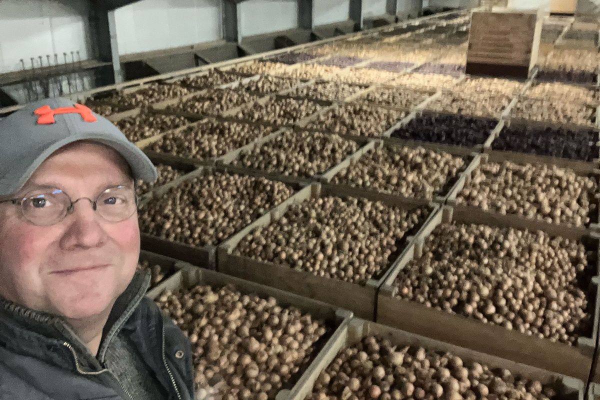 "Spanningsveld tussen boeren- en baalprijs, kwalitatief goede uien worden schaars"