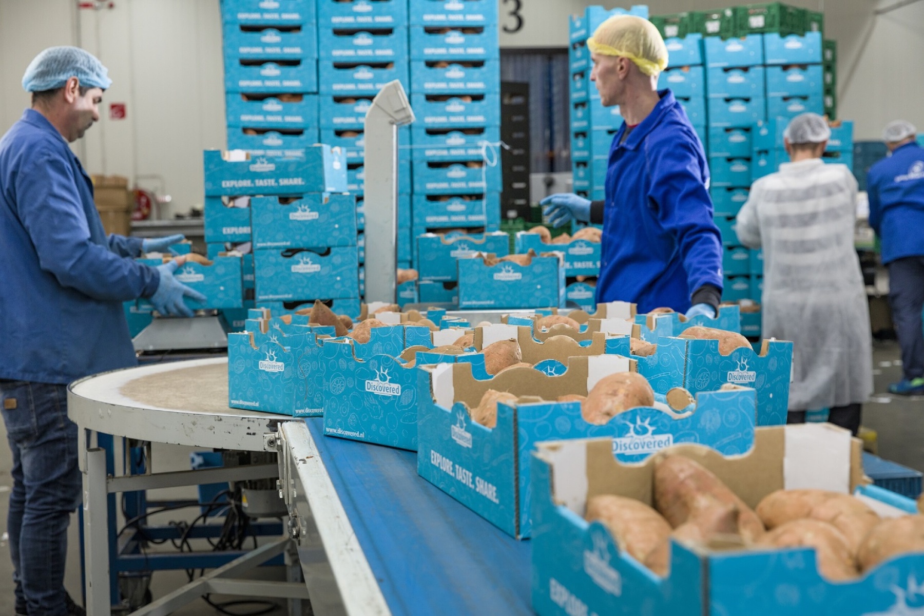 Welke sociale premies gelden binnen de sector in 2026?