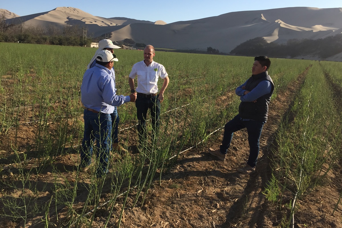 Samenwerken aan verantwoord waterbeheer in Peru voor een toekomstbestendig voedselsysteem