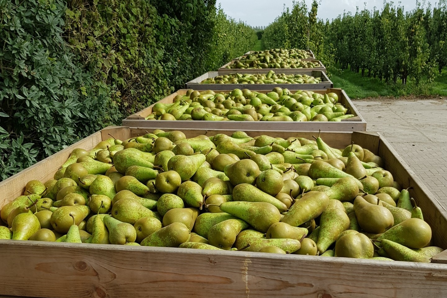 "Het is van groot belang om nu te zorgen voor een tijdige ruiming van Conference"