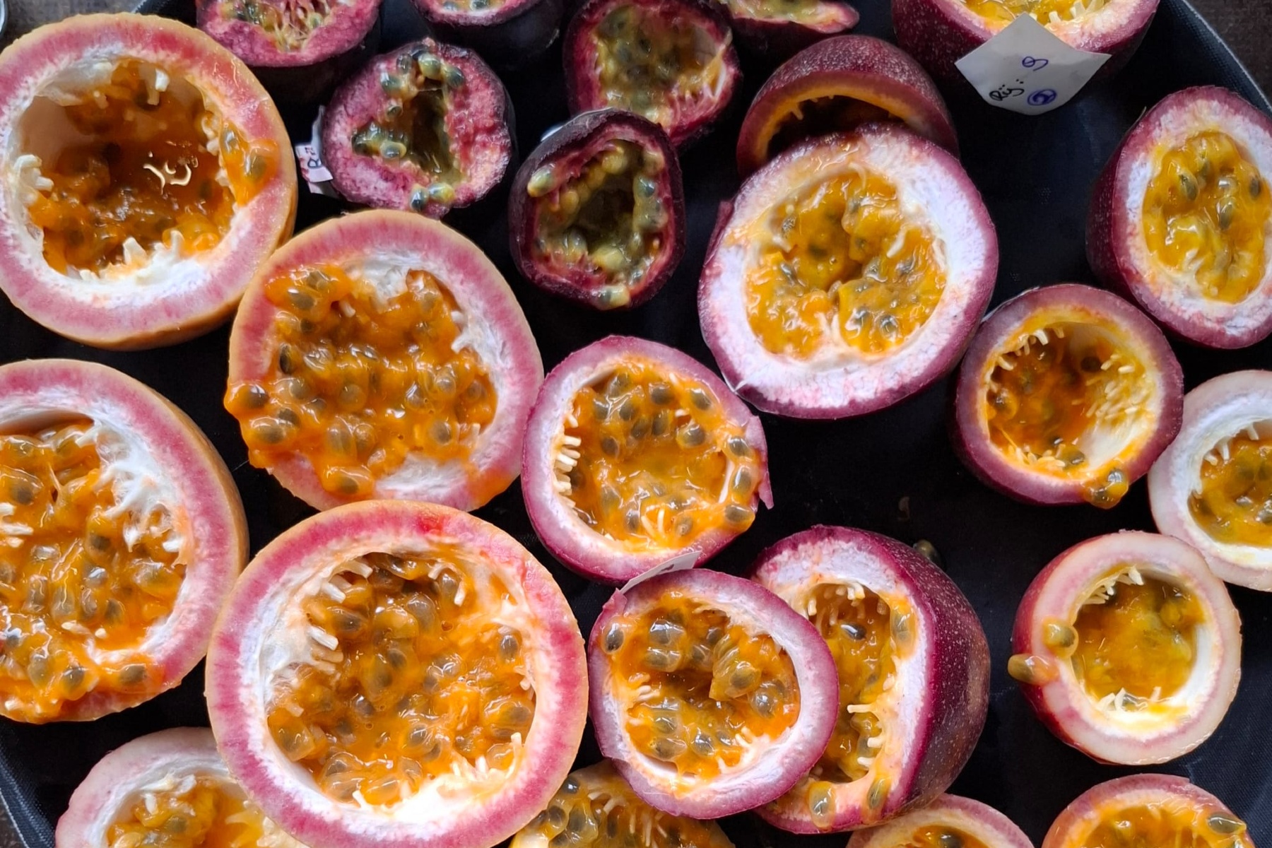 "We verwachten dat lokale passiefruit onderscheidend kan zijn"