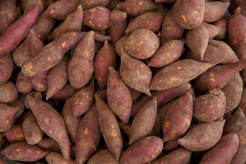 Teler zit met 50 ton zoete aardappelen die te groot of te klein zijn