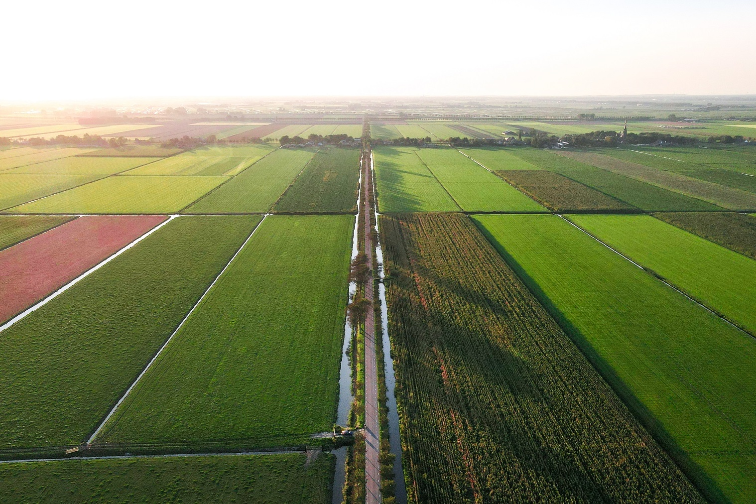 Weerbaarheid land- en tuinbouw verbetert, toekomst onzeker