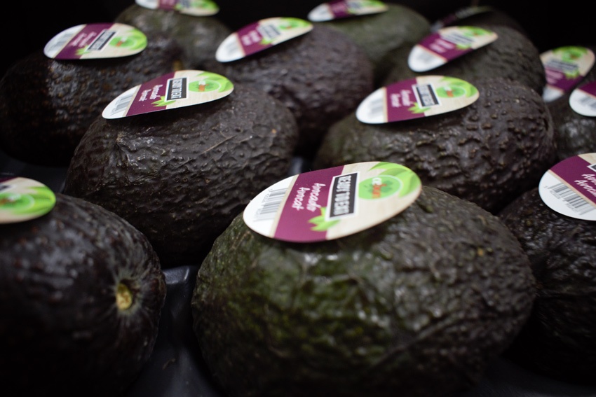 "Grootste knelpunt zit momenteel niet in afzet avocado, maar in de logistieke afhandeling”