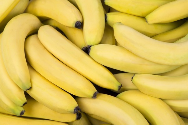 Ontwikkelaar nieuwe bananenrassen MusaRadix failliet na flinke rekening