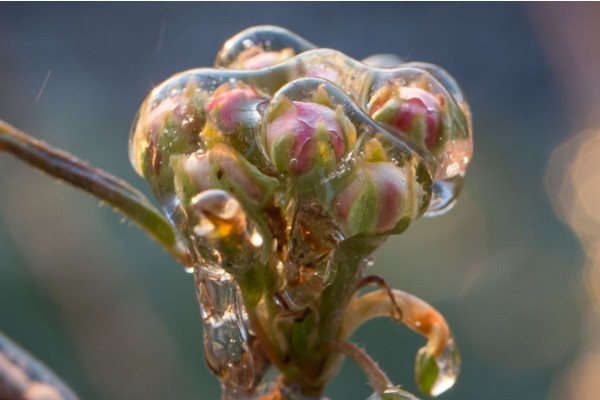 "Sneeuwval als wake-upcall: Nederland niet voorbereid op grilliger klimaat"