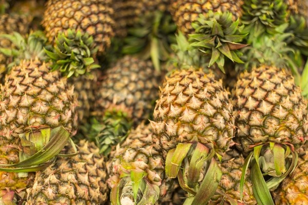 141 kilo cocaïne gevonden tussen ananassen en bananen in Antwerpse haven