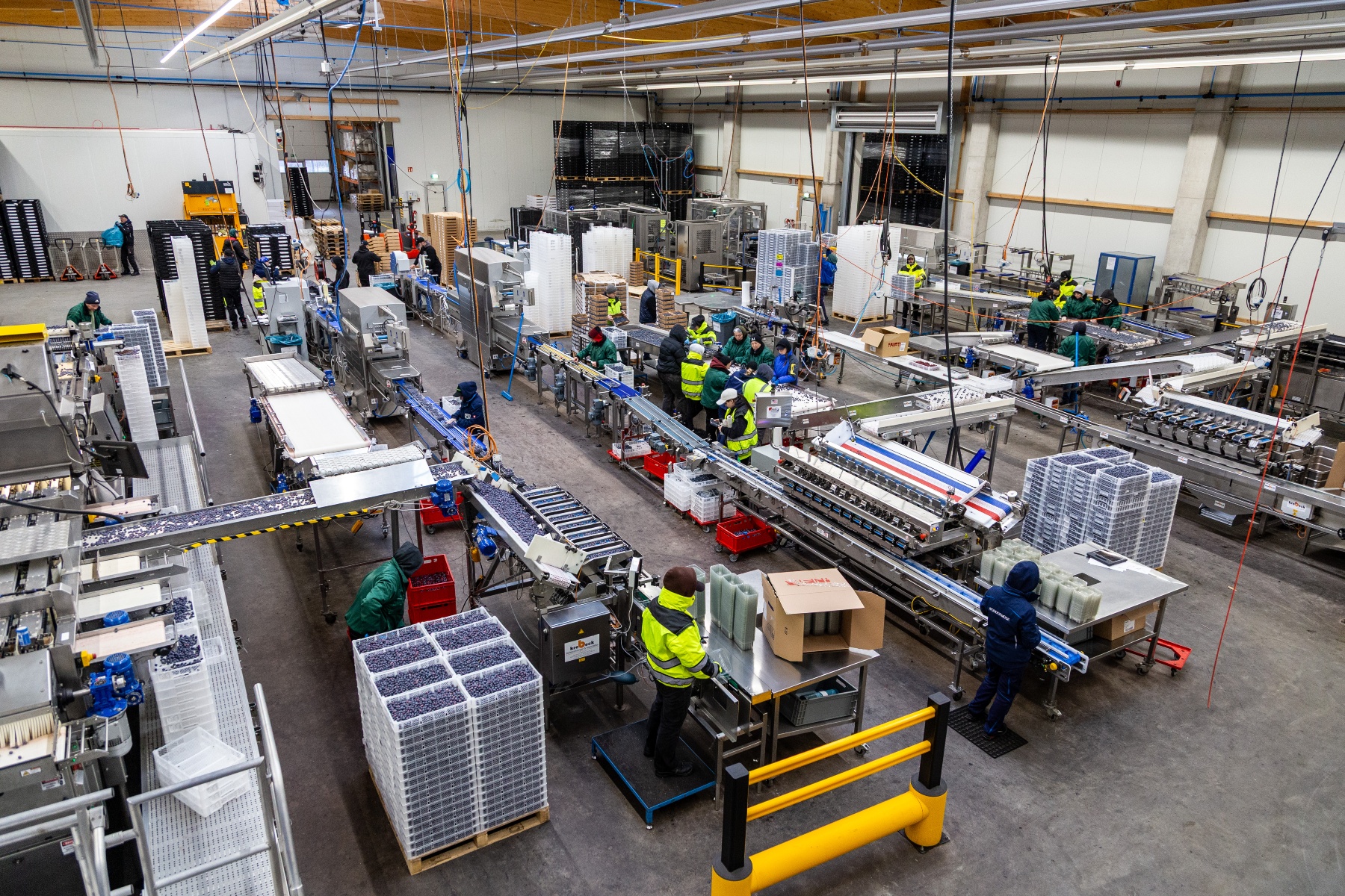 "Processen gestroomlijnd, de efficiëntie verhoogd en de arbeidskosten aanzienlijk verlaagd