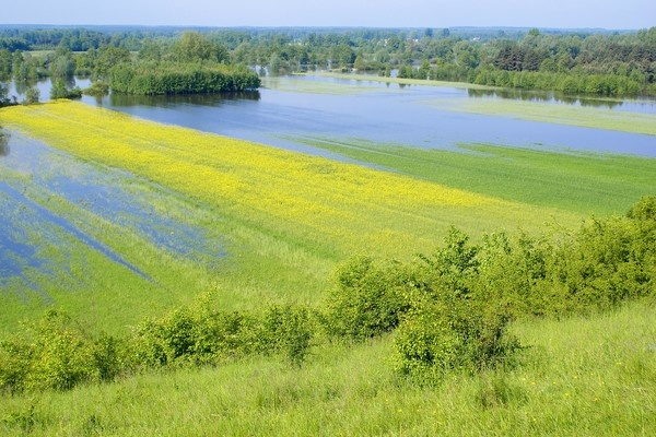 Slim waterbeheer in landbouw als oplossing voor Europa’s waterparadox