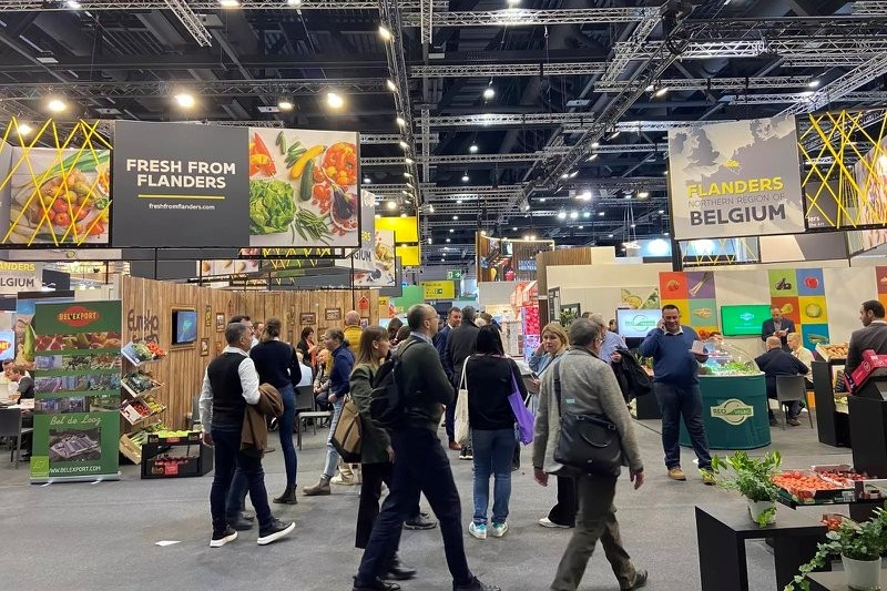 "Vlaanderen toont de breedte van zijn versaanbod op Fruit Logistica 2026"