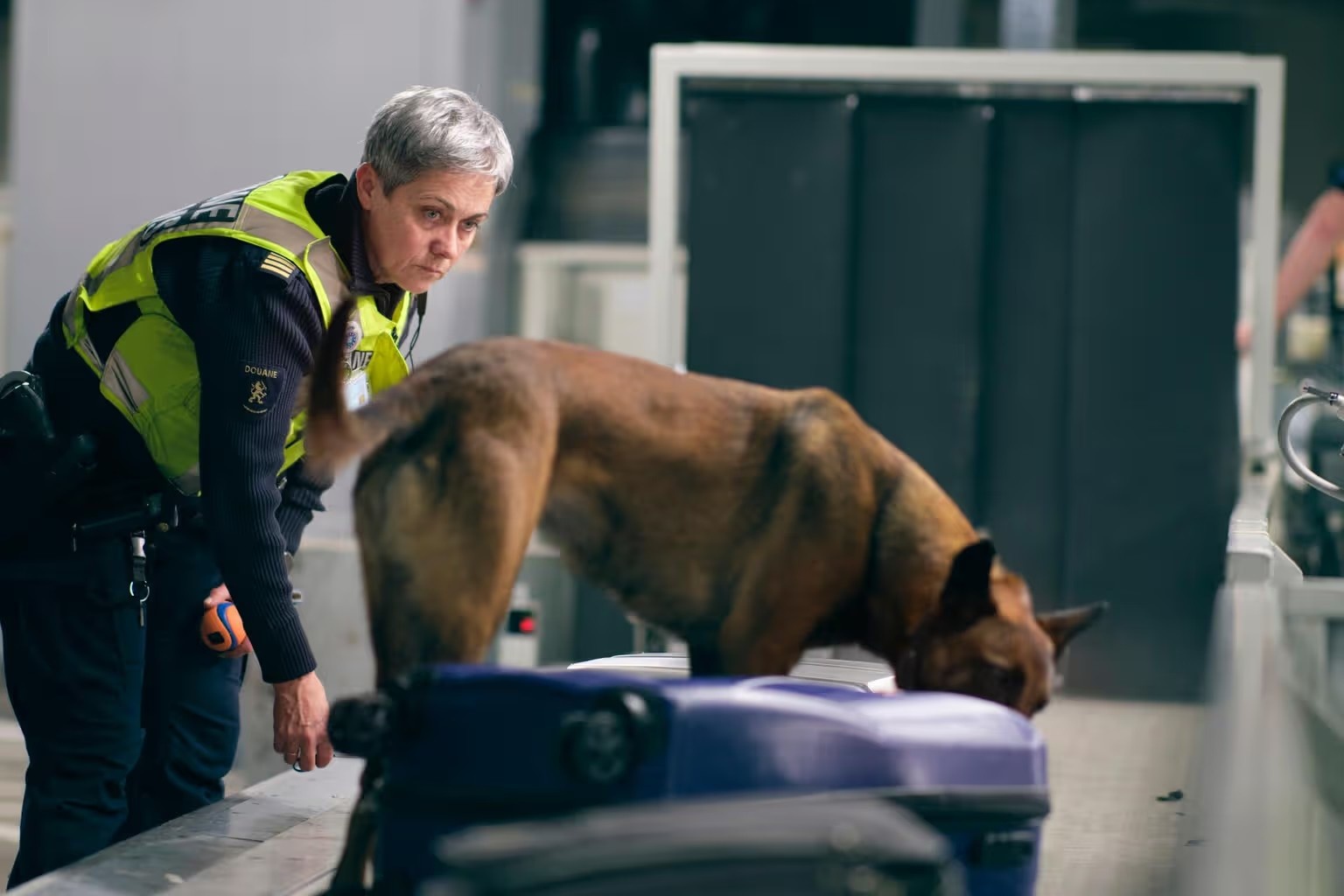 Nederlandse douane onderschept minder cocaïne in 2025, smokkel steeds diverser