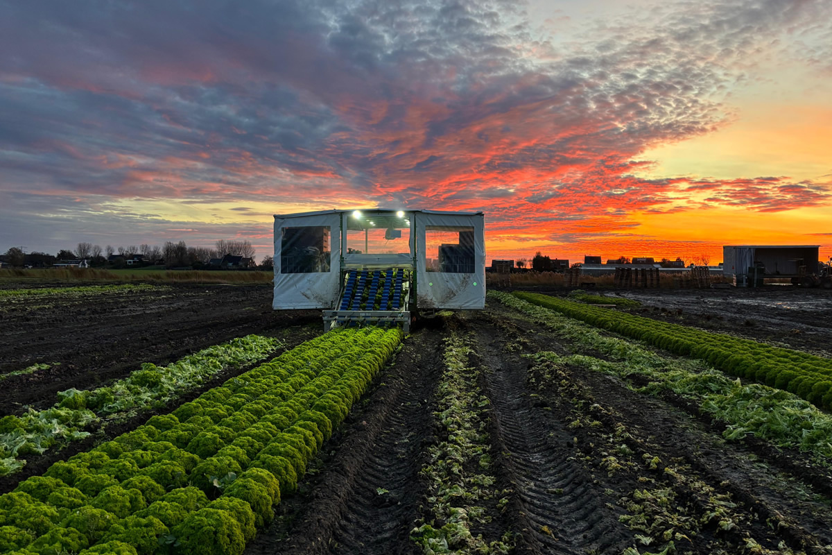 "Onze nieuwe oogstmachine heeft ons veel vooruitgang gebracht"