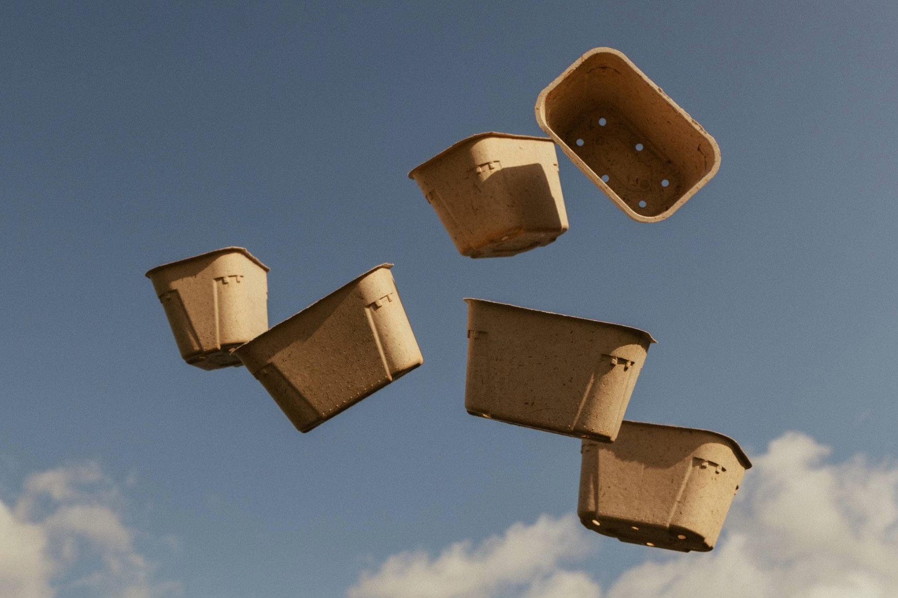 "Champignons verpakt in de voedingsbodem waarop ze zijn gegroeid"