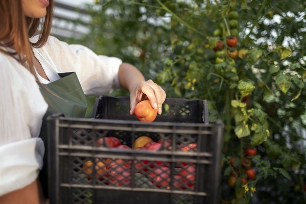Spanje regulariseert migranten om arbeidstekorten in landbouw aan te pakken