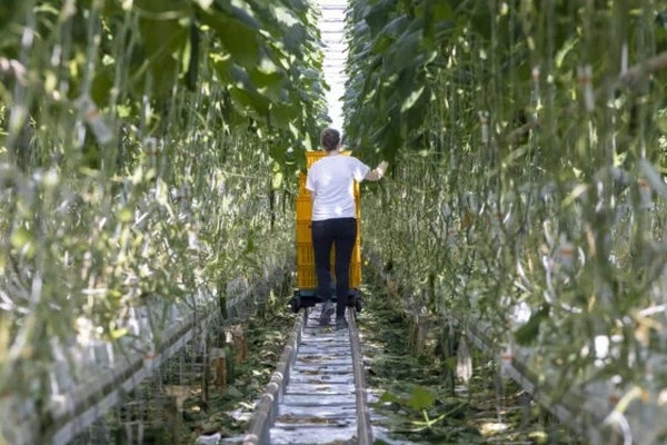 "Nederland kan niet zonder arbeidsmigranten, arbeidsmigrant kan niet zonder huisvesting"
