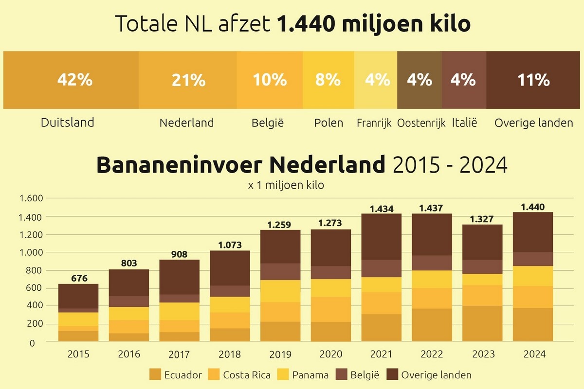 Nederland blijft spil in Europese bananenhandel ondanks dalende supermarktvolumes