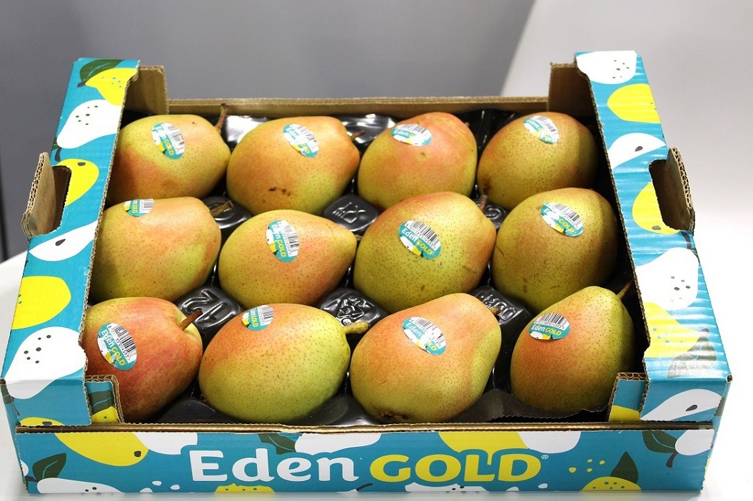 Eden Gold-peren verviervoudigen volume en groeien door in Europa