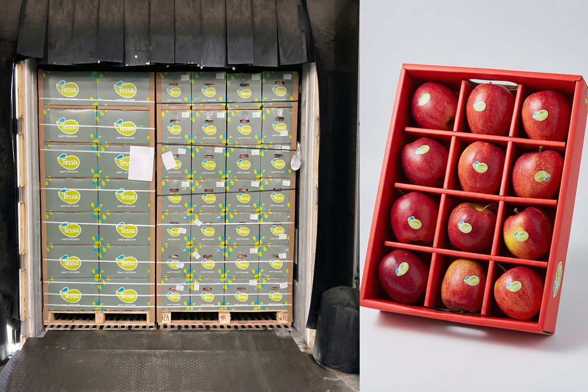 Historische mijlpaal voor Nederlandse appelen op de Chinese markt