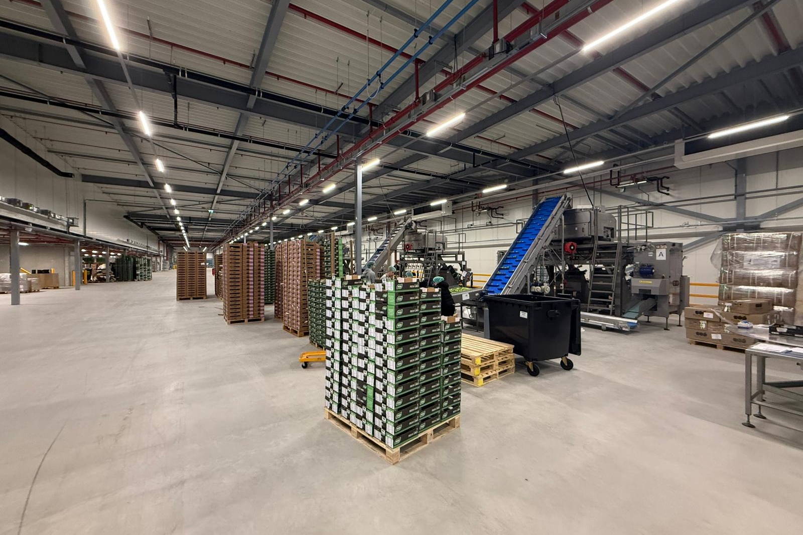 Looije Group opent locatie Ridderkerk