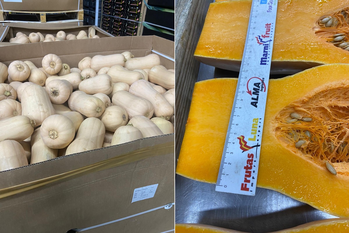 "Flespompoenen met mooie kleur en hard vruchtvlees ideaal voor de snijderijen"