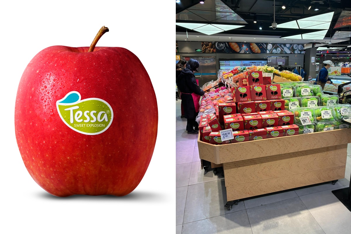 Welkomstceremonie eerste Nederlandse Tessa-appel in Beijing samen met Nederlandse ambassade