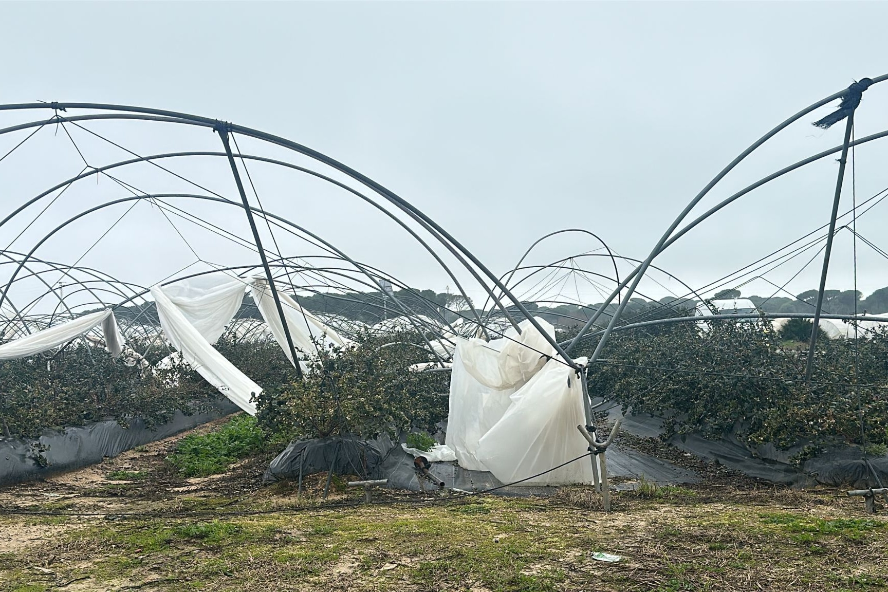 Slecht weer in Zuid-Europa zorgt voor lege groente- en fruitschappen