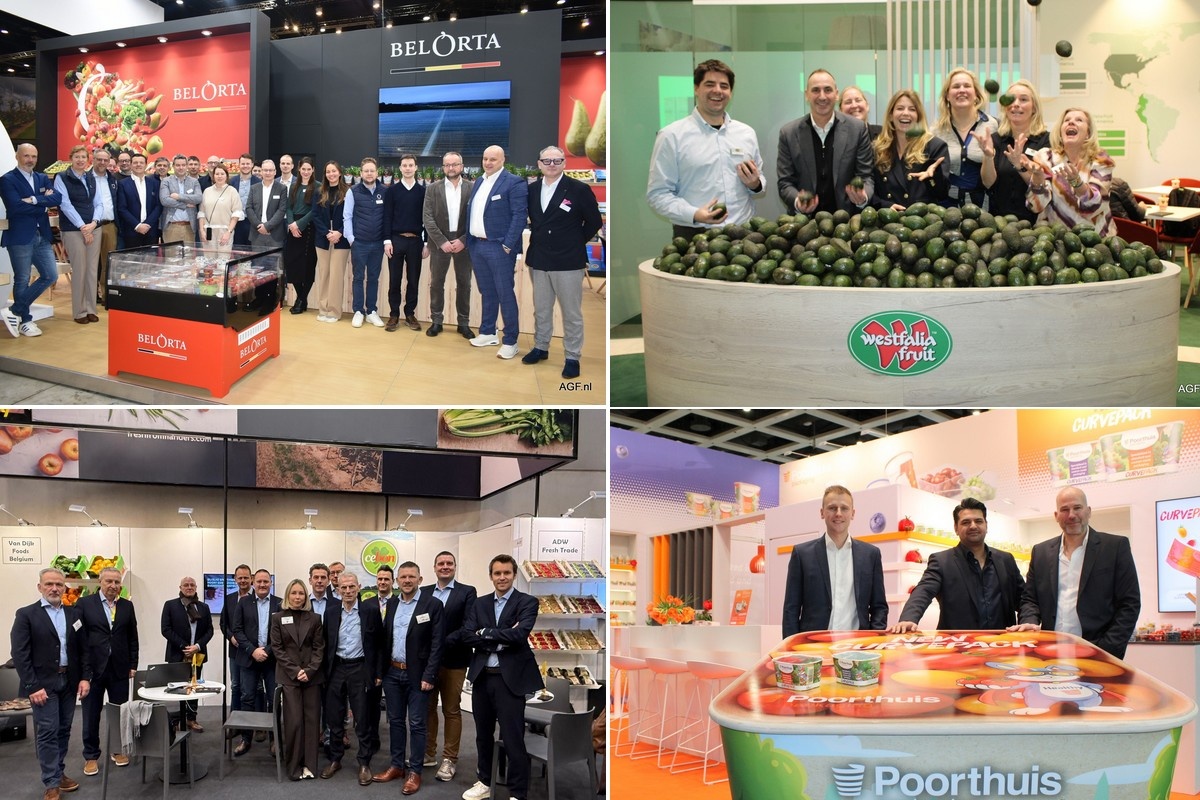 Bekijk nu alle internationale fotoreportages van de Fruit Logistica 2026