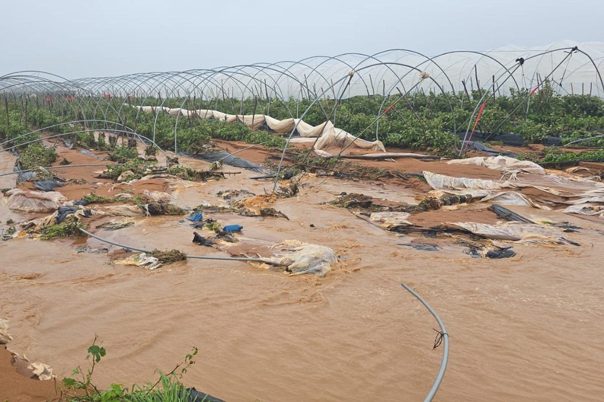 "Zo extreem heb ik het in ruim 30 jaar in Huelva nog niet meegemaakt"
