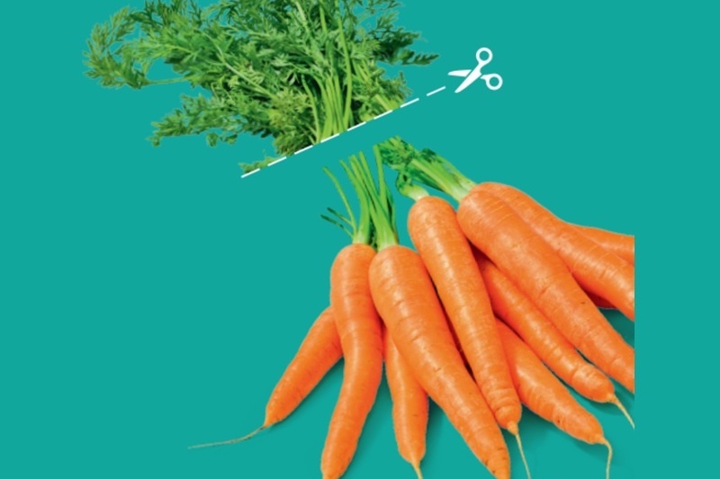 Albert Heijn introduceert bospeen met minder loof