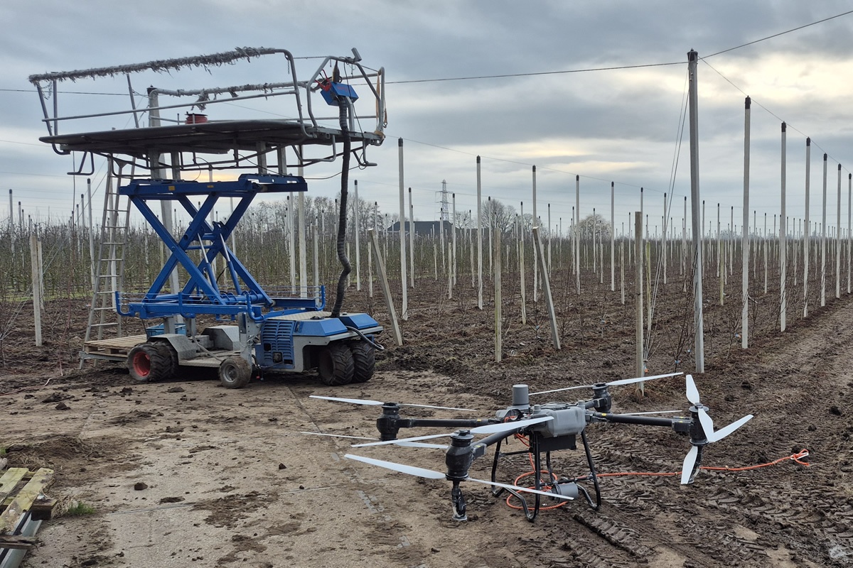"Wat eerst de meest uitdagende klus was, is nu het leukste om te doen"