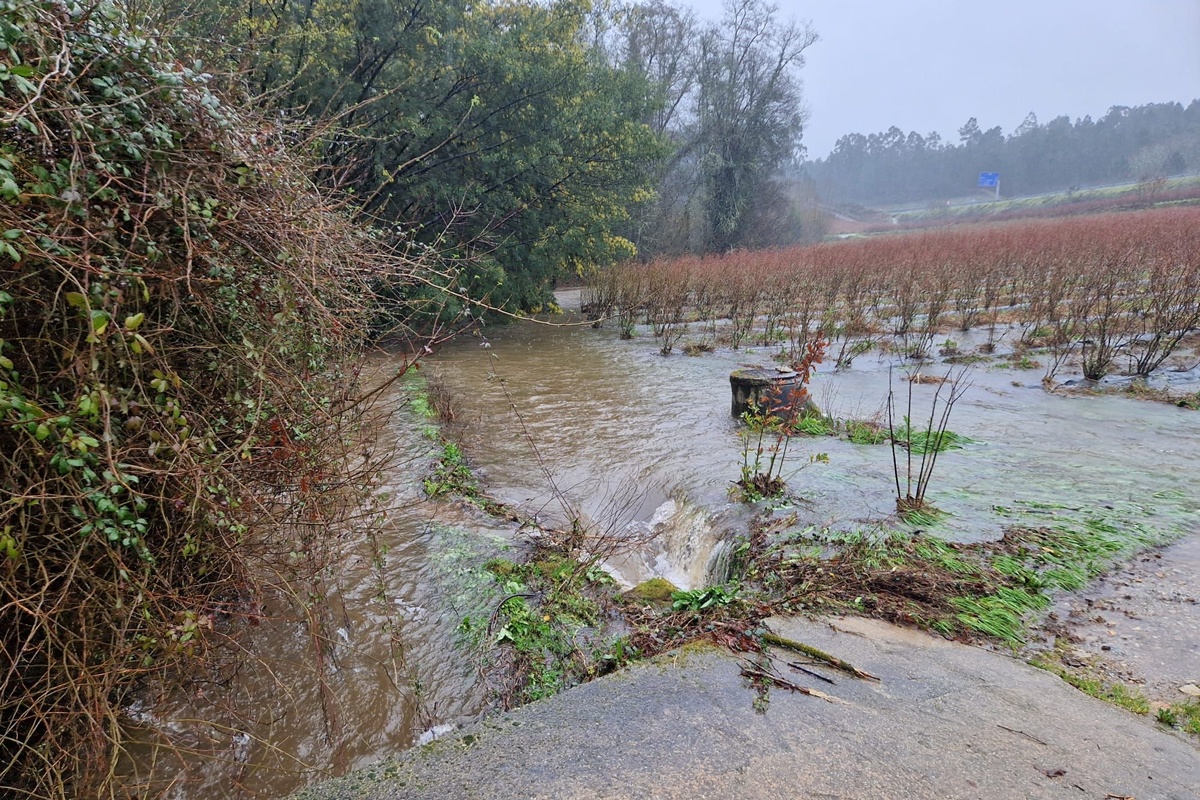 "De volledige omvang van de schade zal de komende weken duidelijker worden"