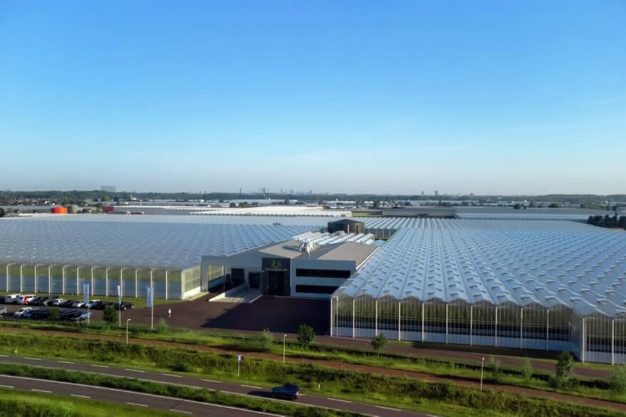 Harvest House dient verzoek in bij ACM om commerciële activiteiten The Flavour Farm Sales voort te zetten