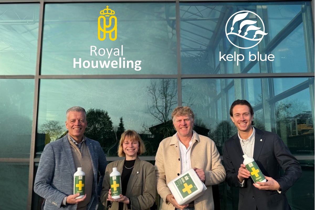 "Zeewierbiostimulanten geschikt voor een breed scala aan teelten"